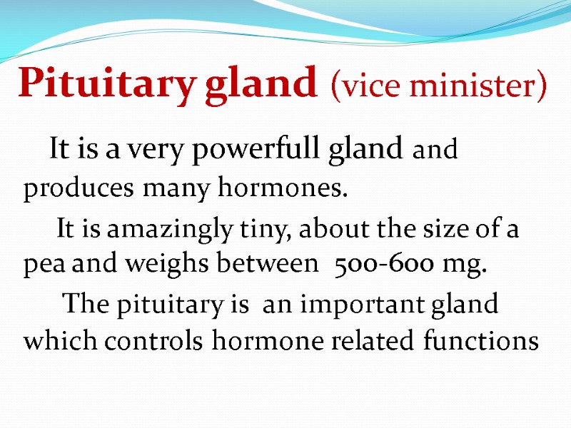 Pituitary gland (vice minister)     It is a very powerfull gland